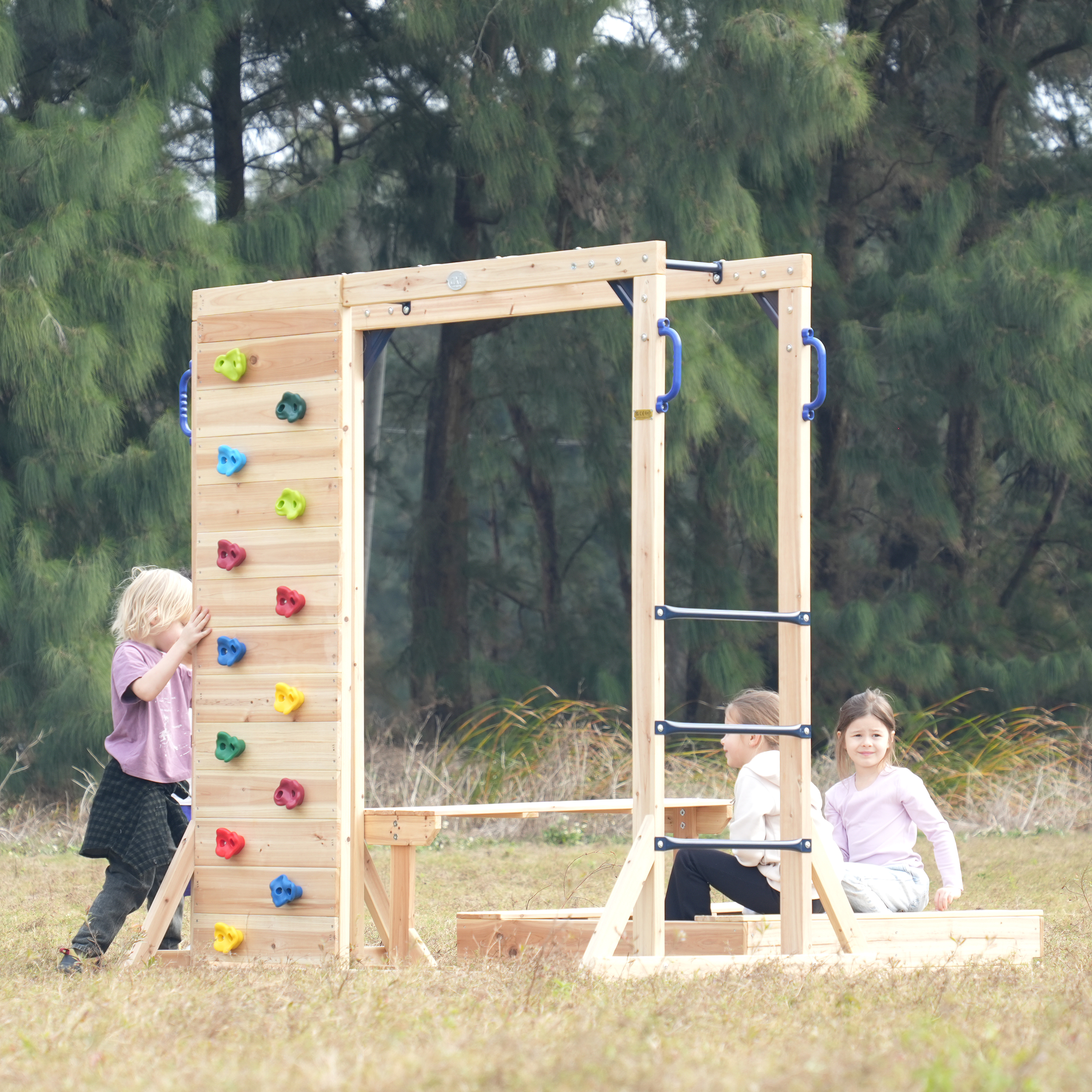 AXI Dex Climbing Frame with Sandbox. Monkey Bars and Picnic Table