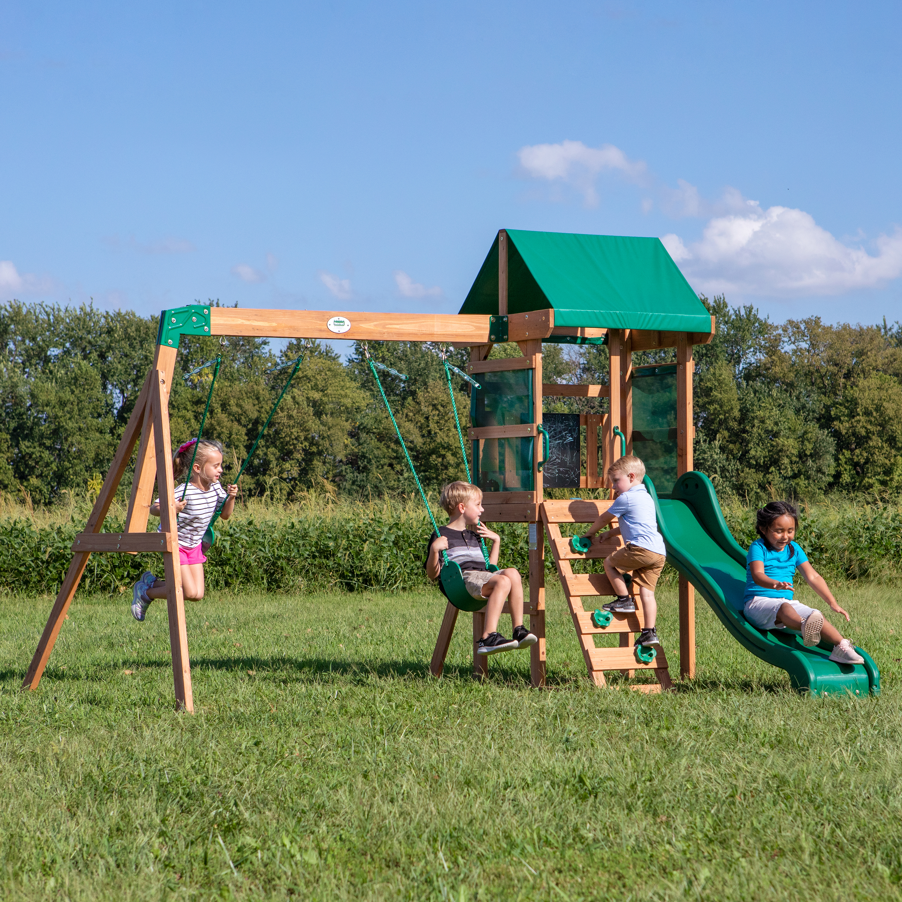 Backyard Discovery Buckley Hill Climbing Frame