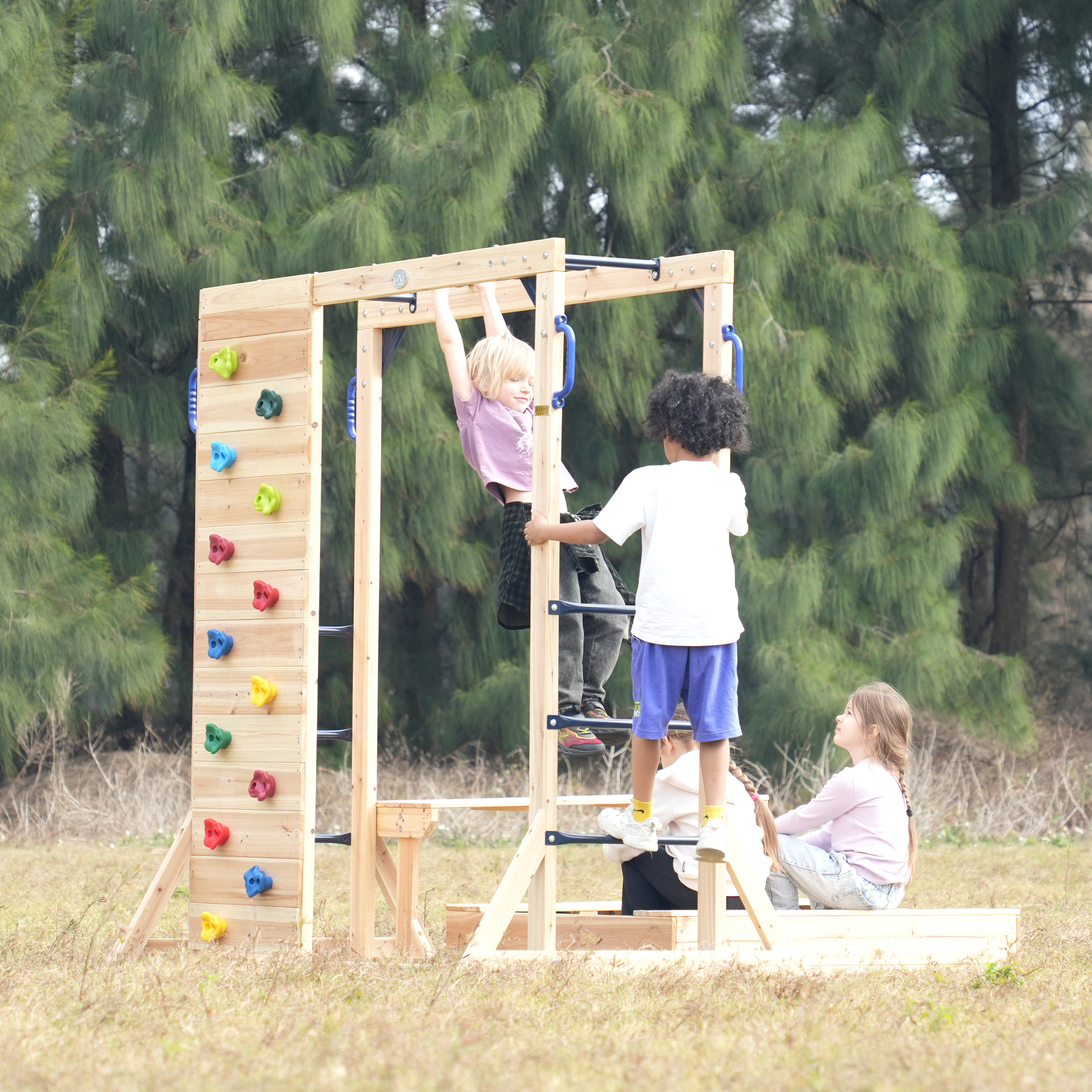 AXI Dex Climbing Frame with Sandbox. Monkey Bars and Picnic Table