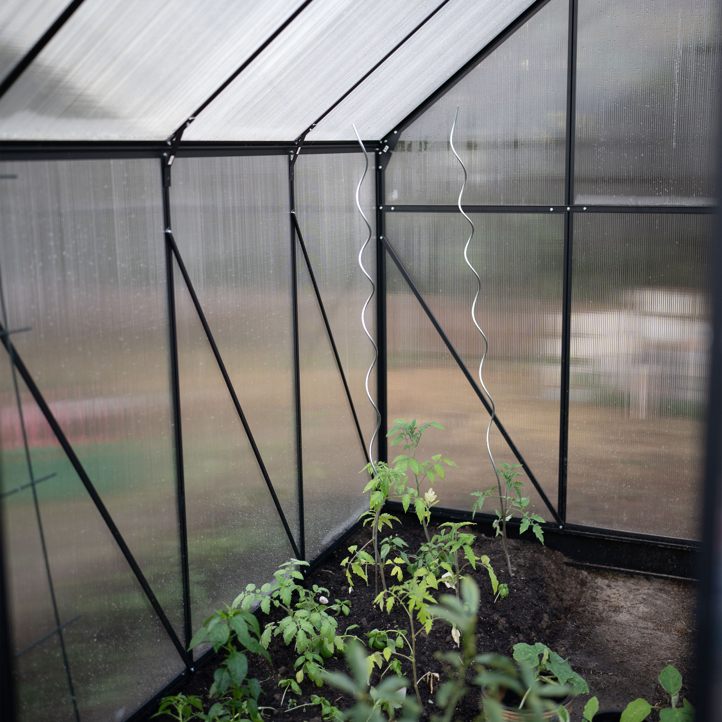 AXI Simon Greenhouse Polycarbonate - Black 250x190x207 cm