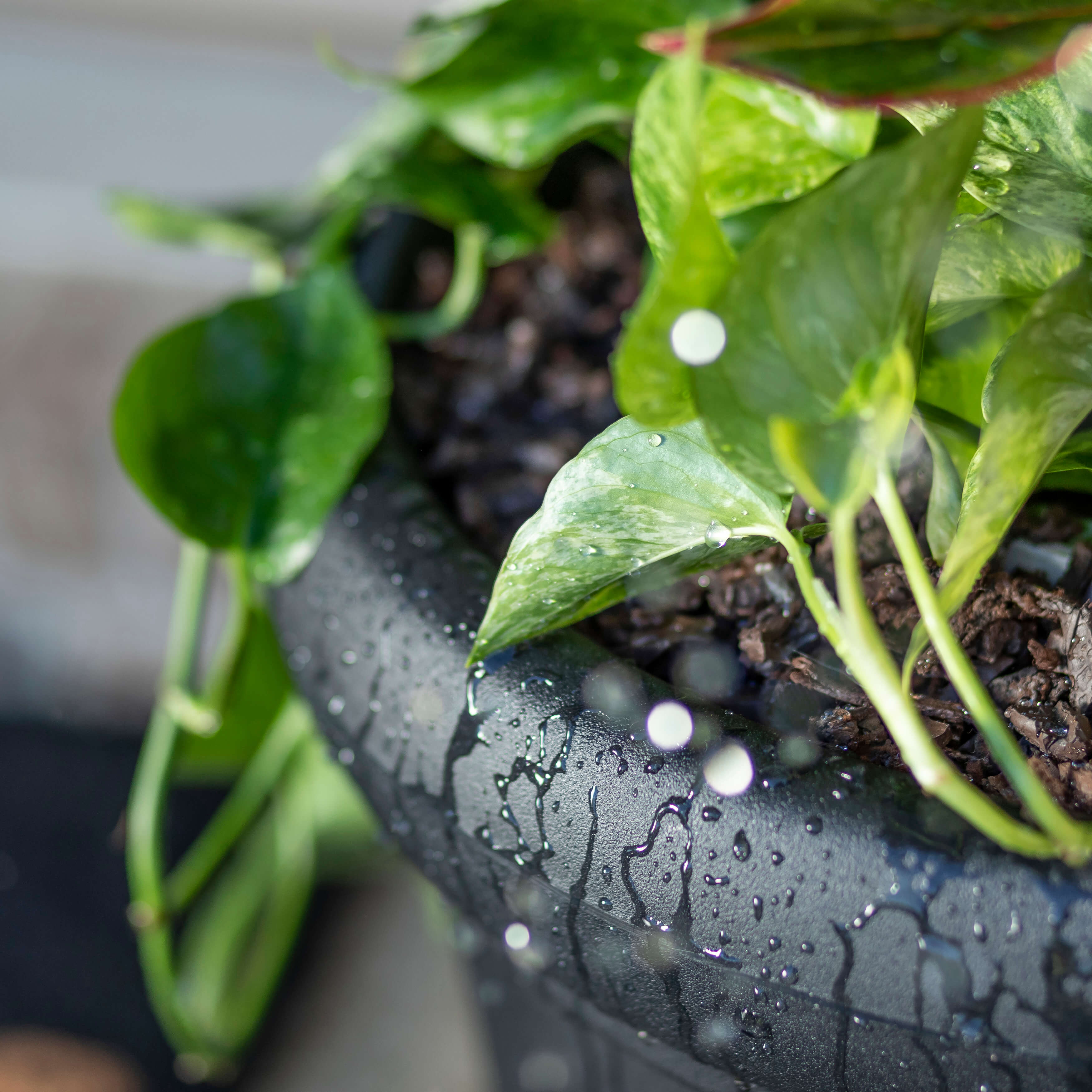 Step2 Claremont Flower Pot - Onyx Black