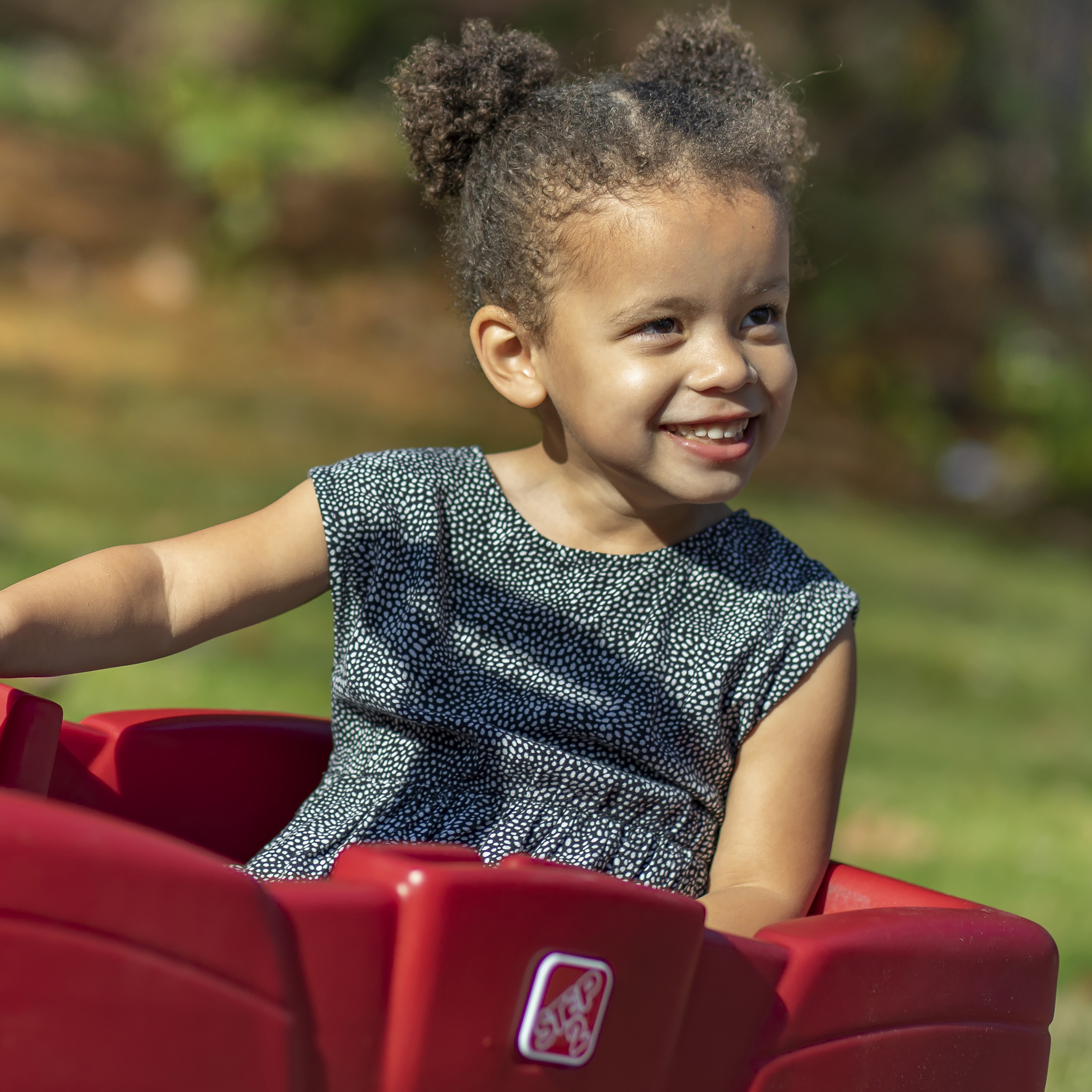 Step2 Neighborhood Wagon