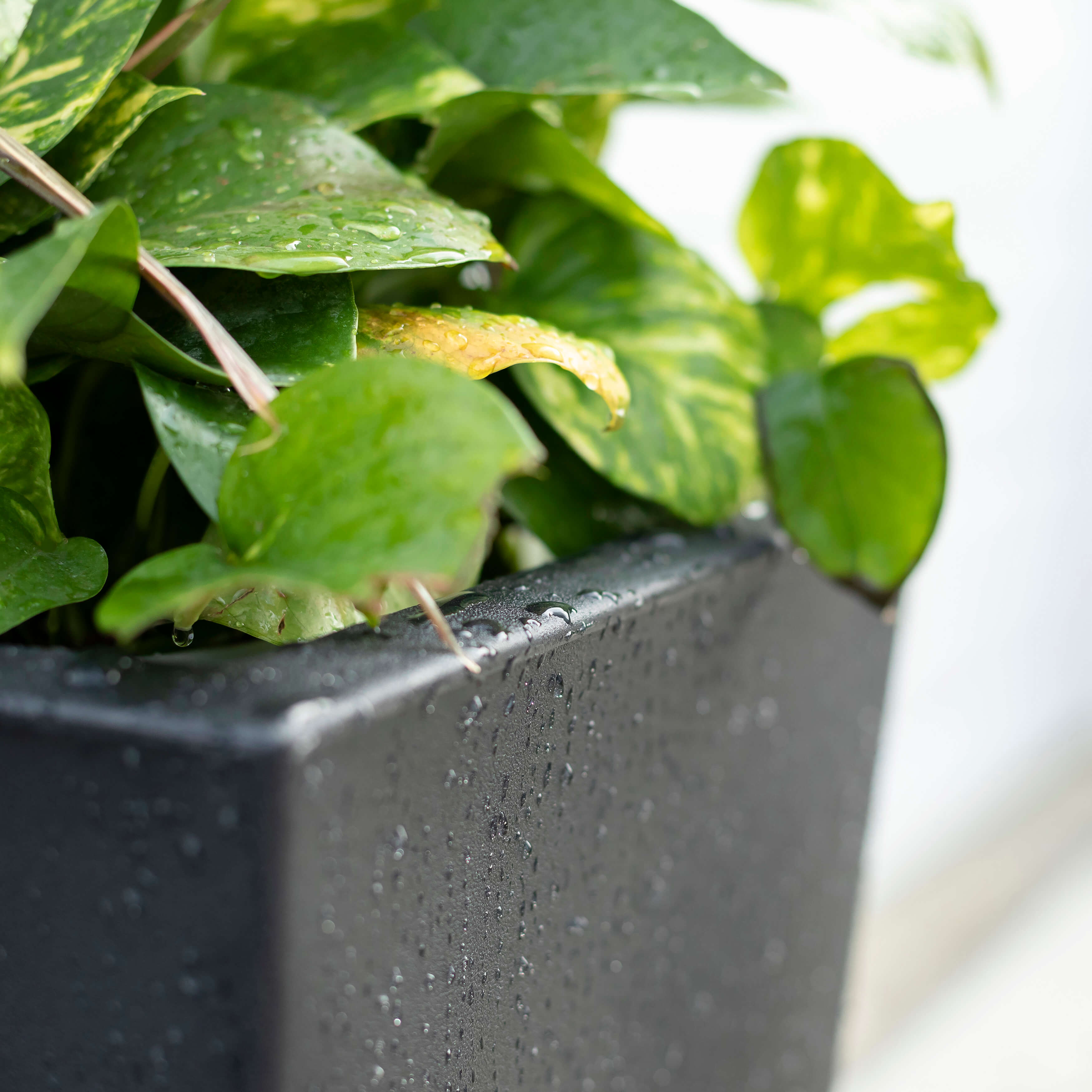 Step2 Tremont Square Conical Flower Pot Large - Onyx Black