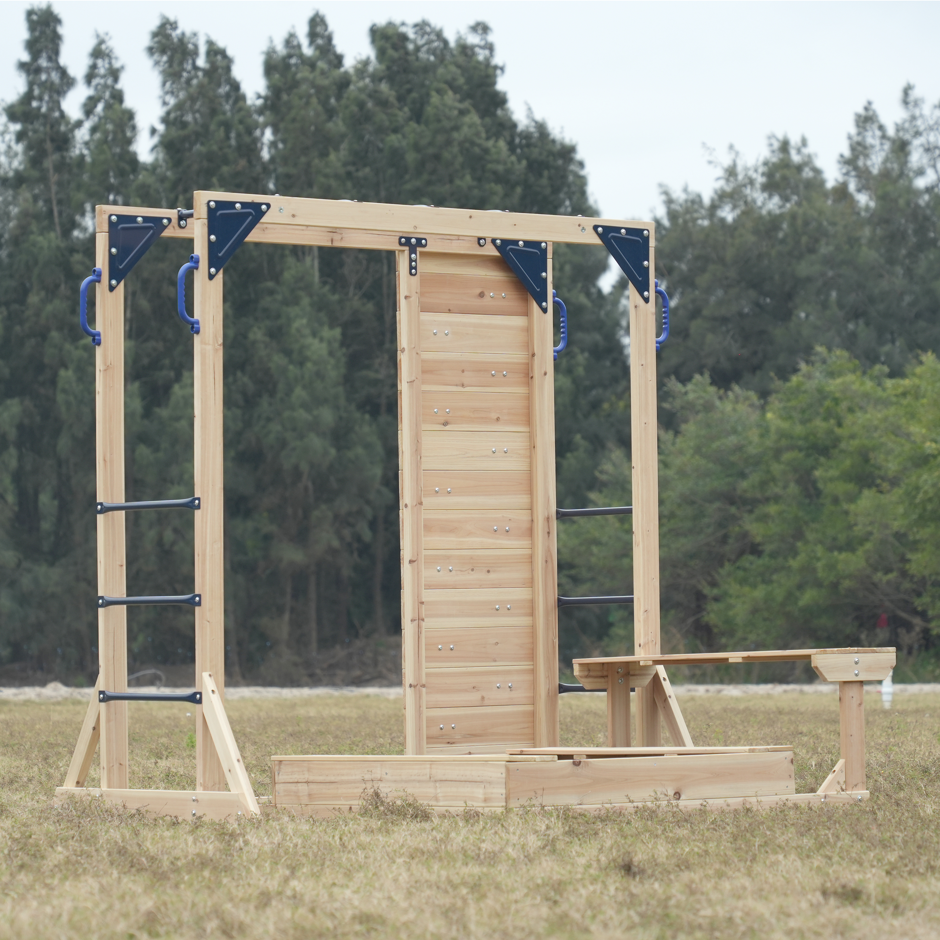 AXI Dex Climbing Frame with Sandbox. Monkey Bars and Picnic Table