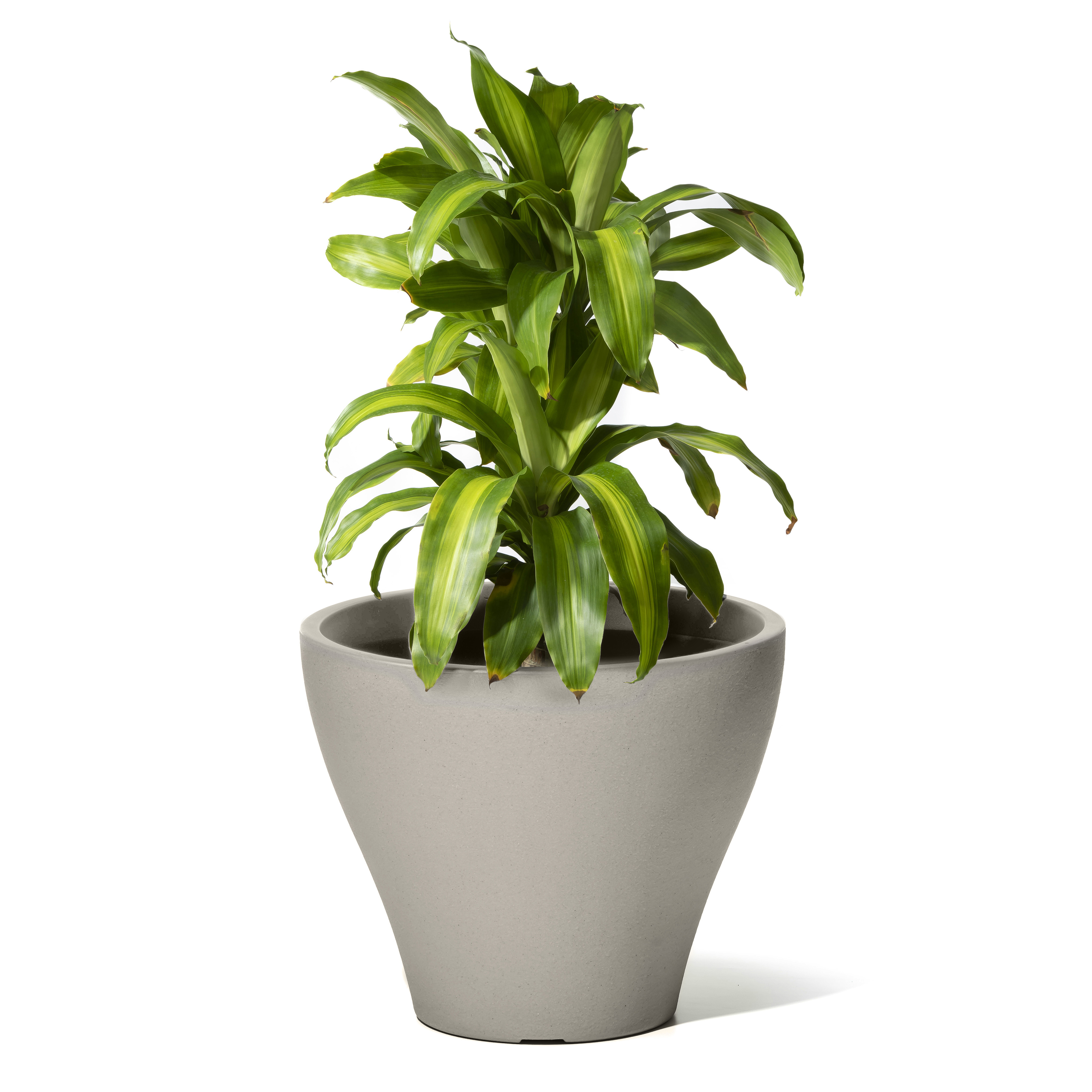 Step2 Fernway Flower Pot - Concrete Gray