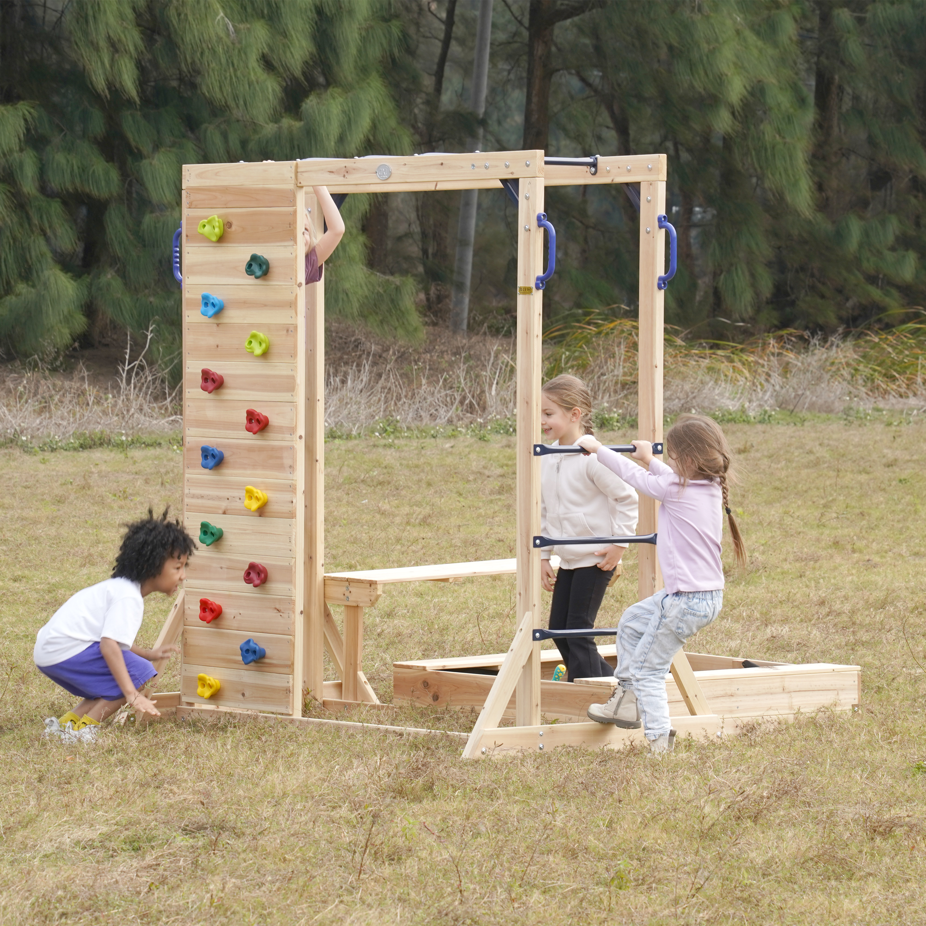 AXI Dex Climbing Frame with Sandbox. Monkey Bars and Picnic Table