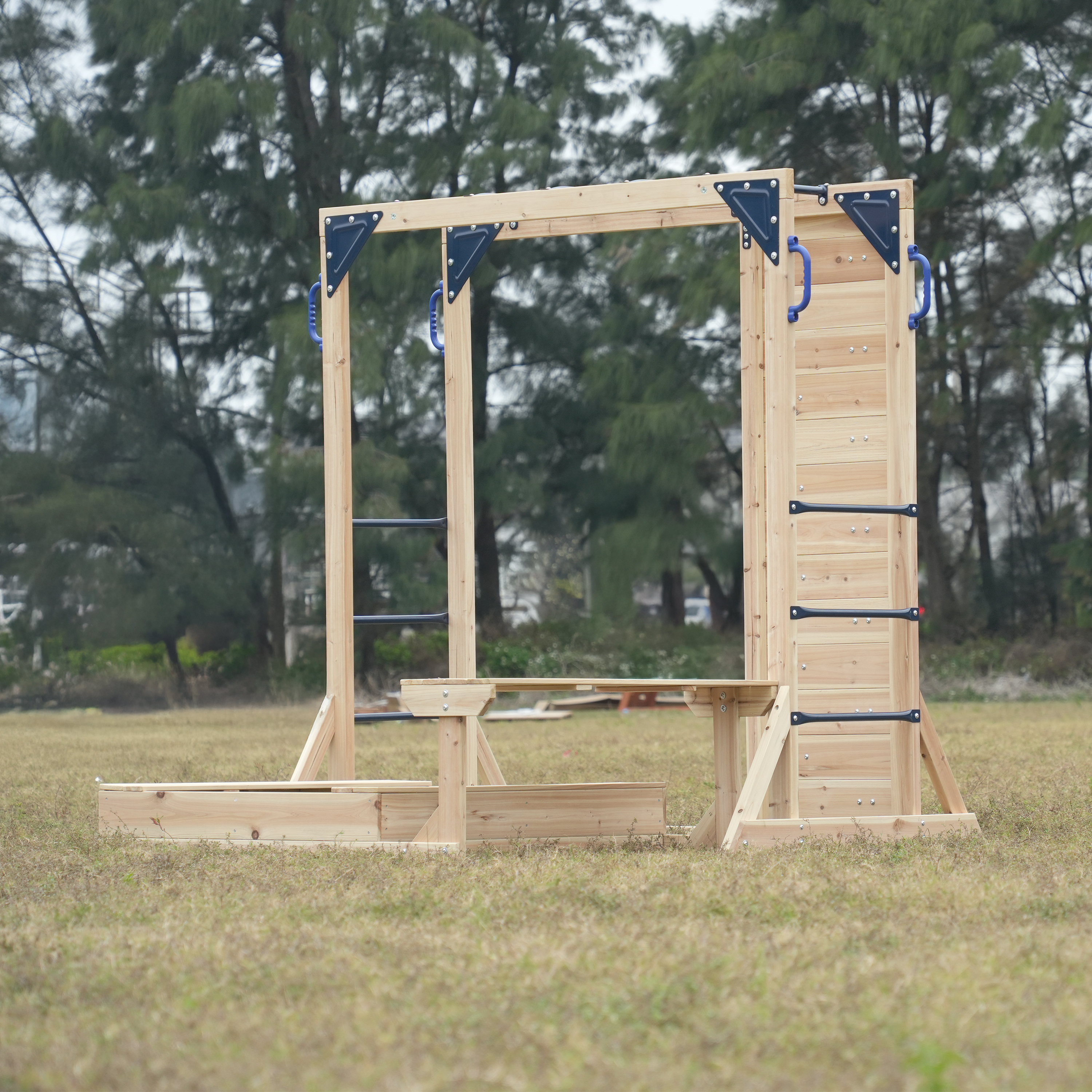 AXI Dex Climbing Frame with Sandbox. Monkey Bars and Picnic Table