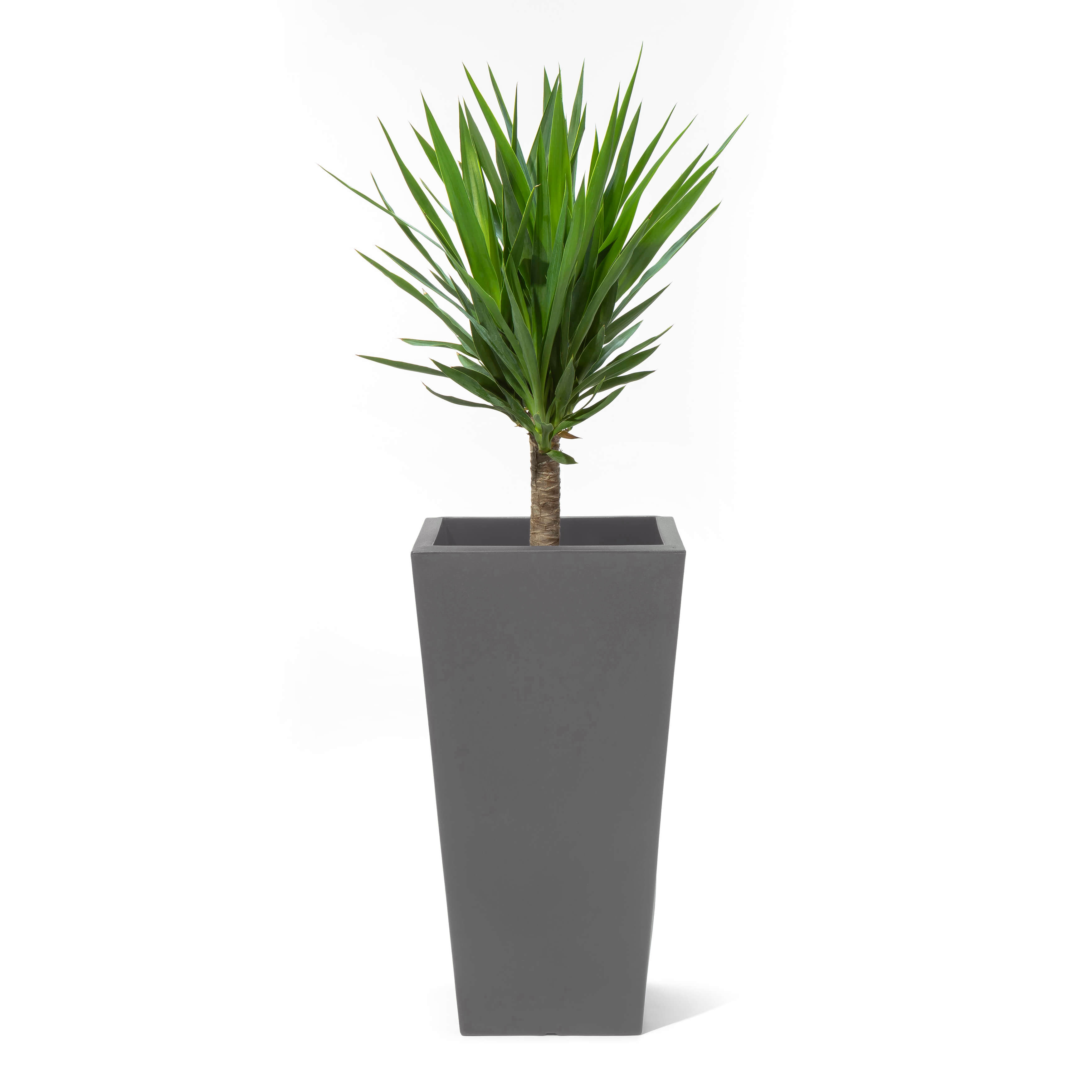 Step2 Tremont Square Conical Flower Pot Large - Dark Cedar